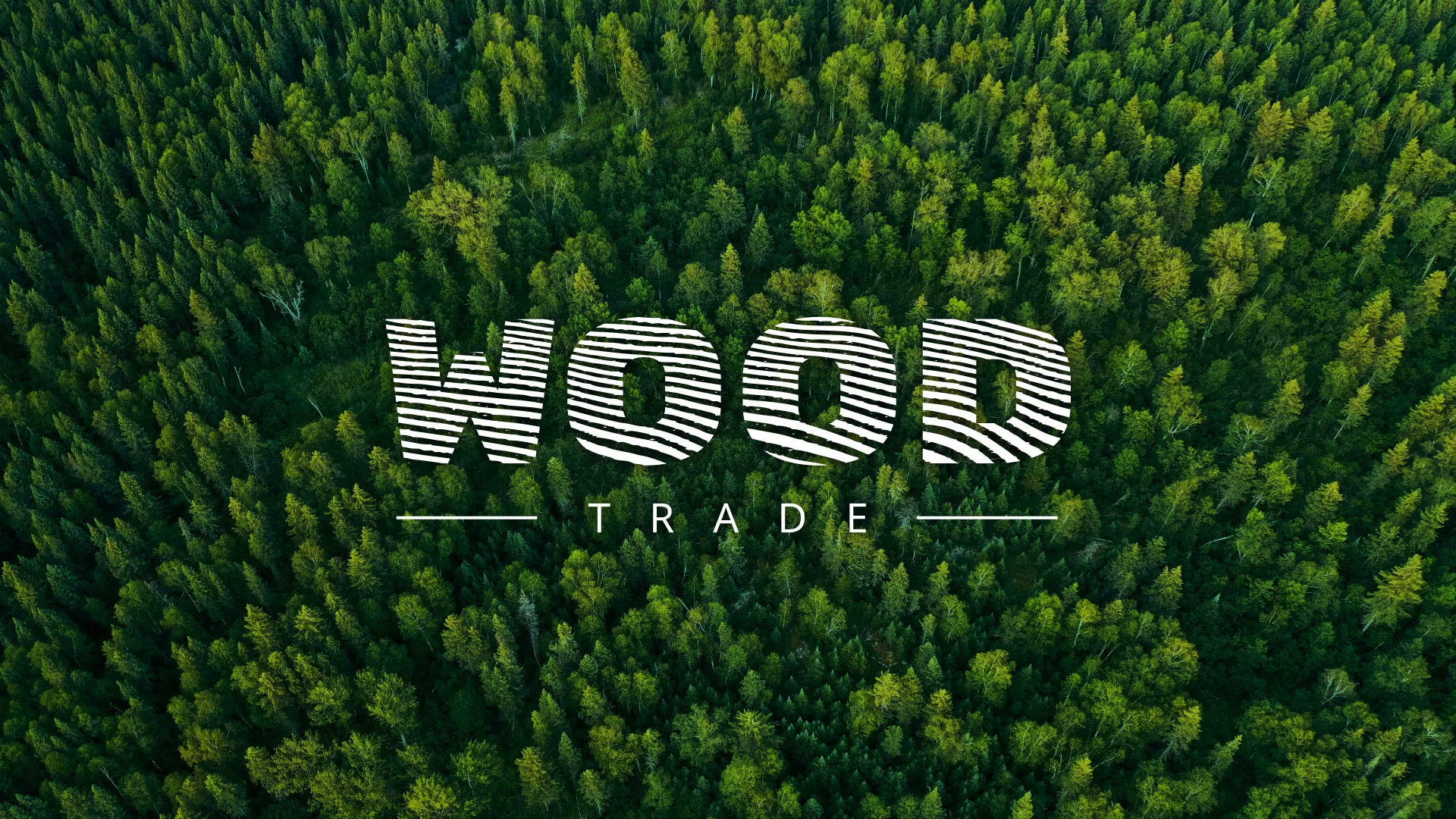 Разработка интернет-магазина компании «Wood Trade» в Закаменске